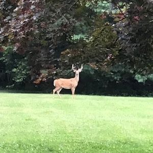 Meet your Posher, Jennifer